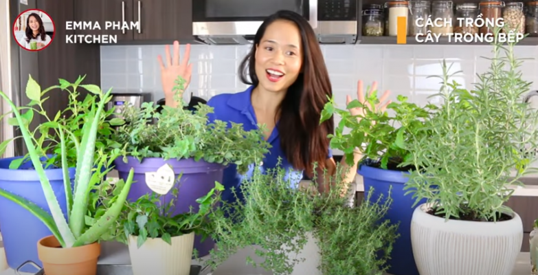 thực đơn giảm cân